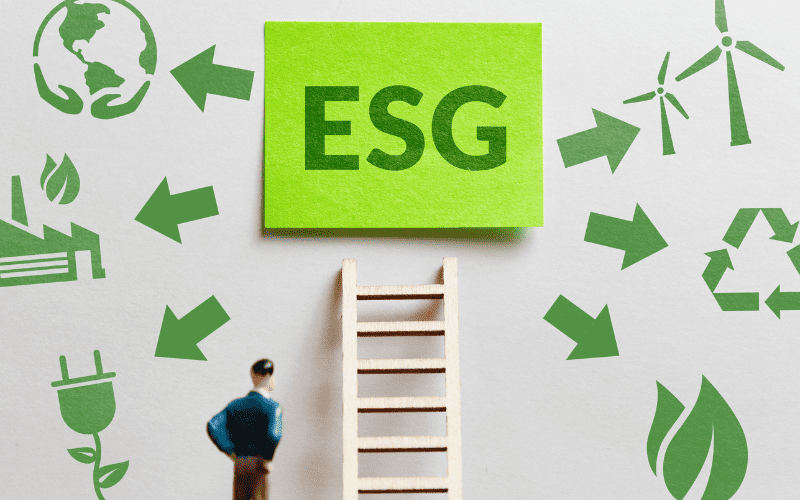 ESG-Report di Sostenibilità: costo o opportunità?